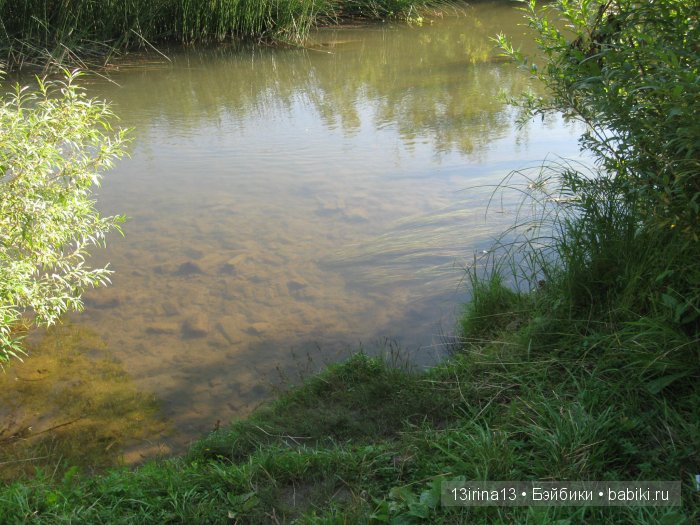 В тиши Сибирского августовского леса, 1 часть