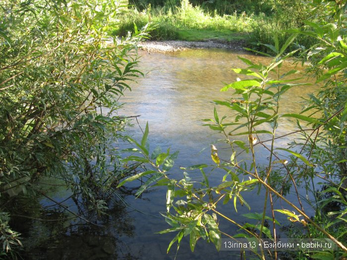 В тиши Сибирского августовского леса, 1 часть