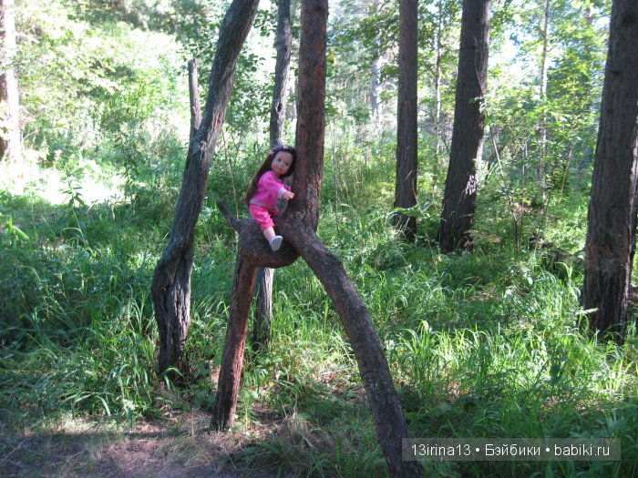 В тиши Сибирского августовского леса, 1 часть
