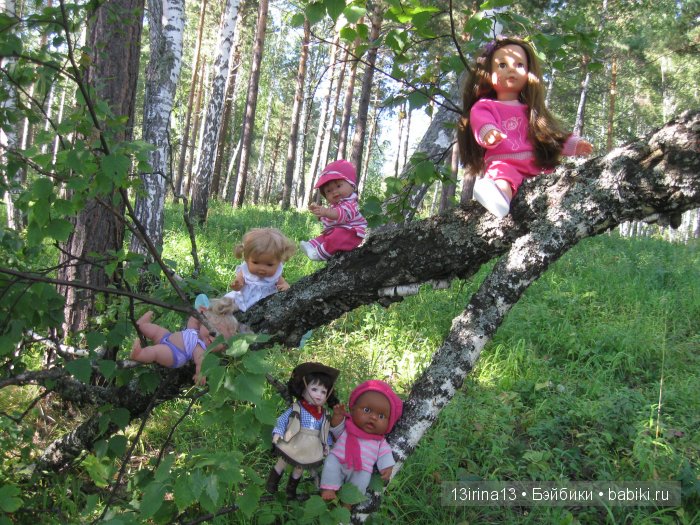 В тиши Сибирского августовского леса, 2 часть