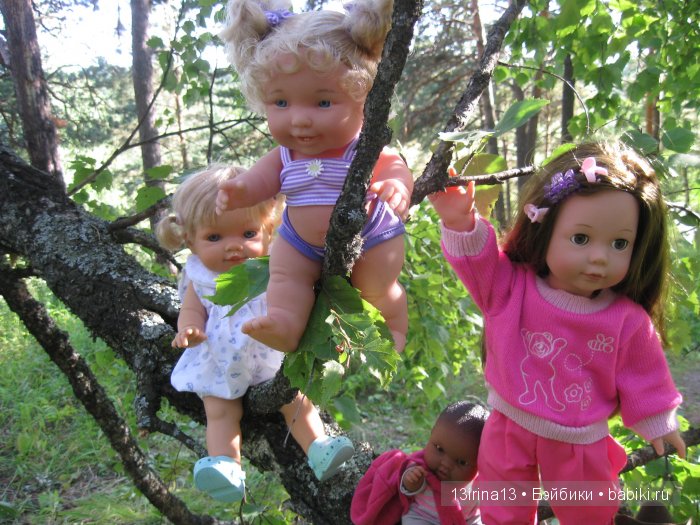 В тиши Сибирского августовского леса, 2 часть