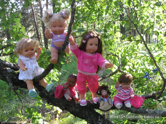 В тиши Сибирского августовского леса, 2 часть