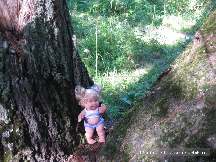 В тиши Сибирского августовского леса, 2 часть