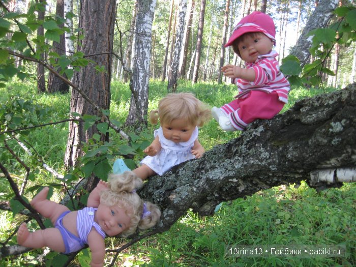 В тиши Сибирского августовского леса, 2 часть