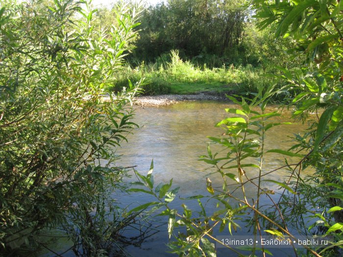 В тиши Сибирского августовского леса, 1 часть