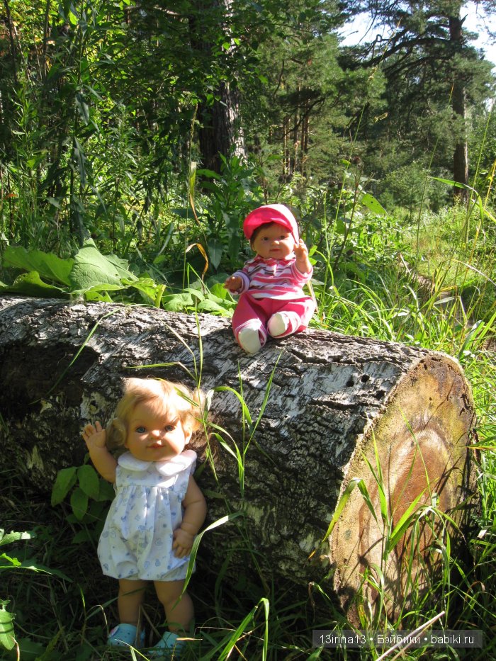 В тиши Сибирского августовского леса, 2 часть