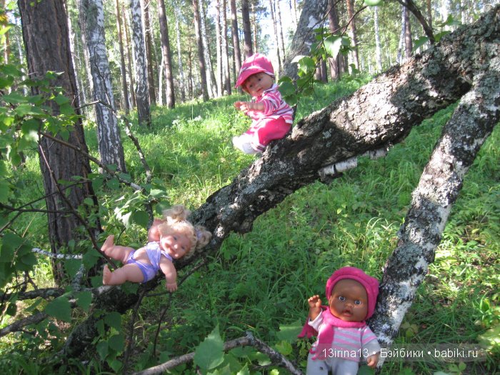 В тиши Сибирского августовского леса, 2 часть
