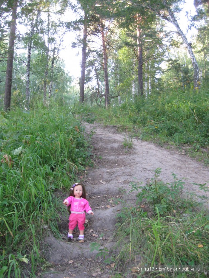 В тиши Сибирского августовского леса, 1 часть