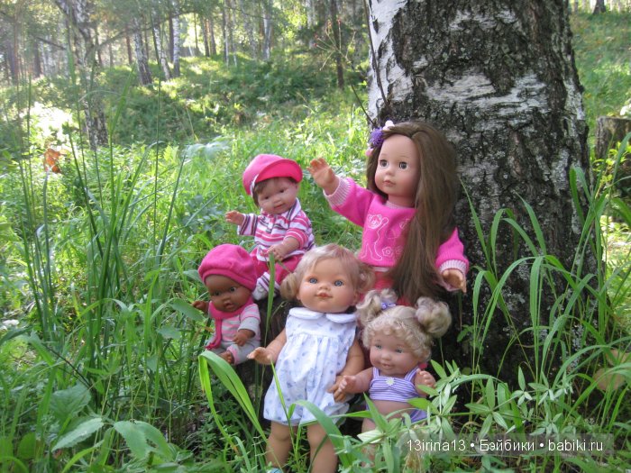 В тиши Сибирского августовского леса, 2 часть