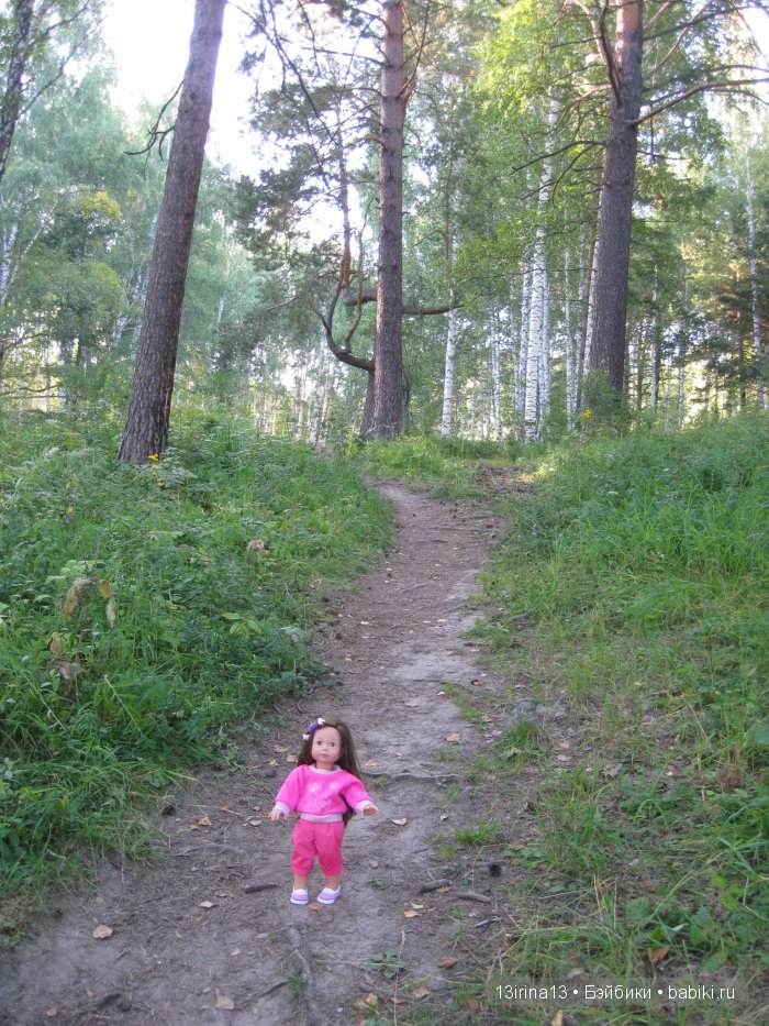 В тиши Сибирского августовского леса, 1 часть