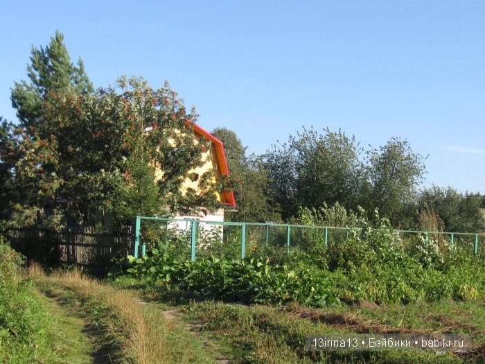 В тиши Сибирского августовского леса, 2 часть
