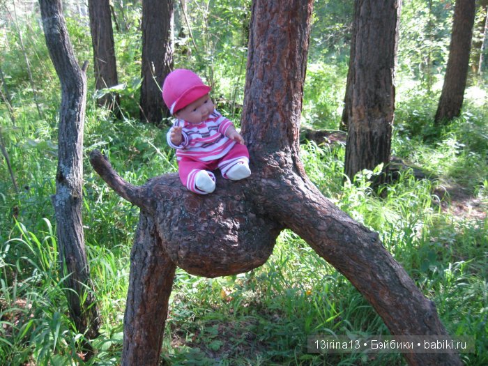 В тиши Сибирского августовского леса, 2 часть