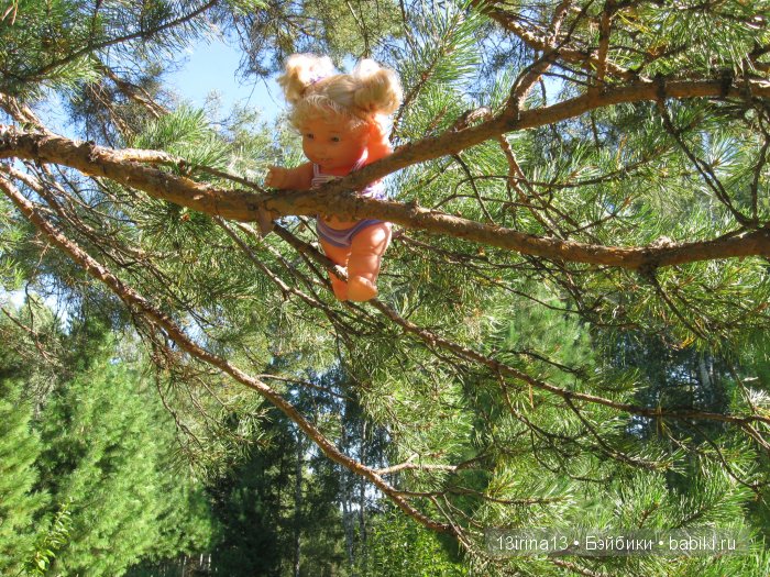 В тиши Сибирского августовского леса, 2 часть