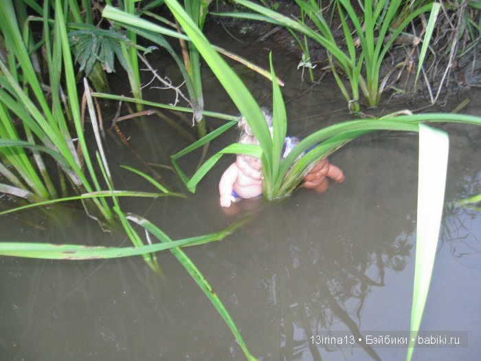 В тиши Сибирского августовского леса, 2 часть