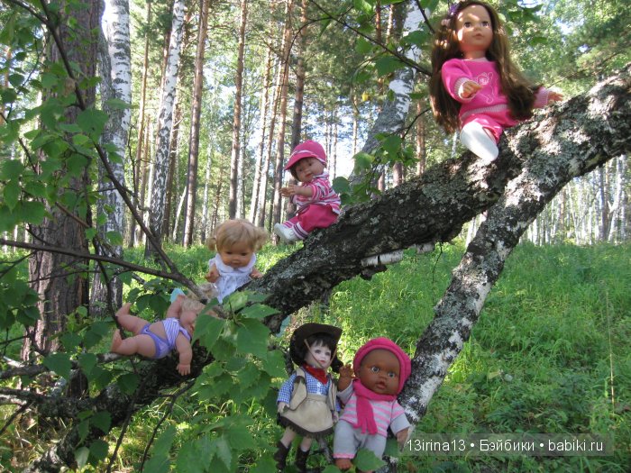 В тиши Сибирского августовского леса, 2 часть