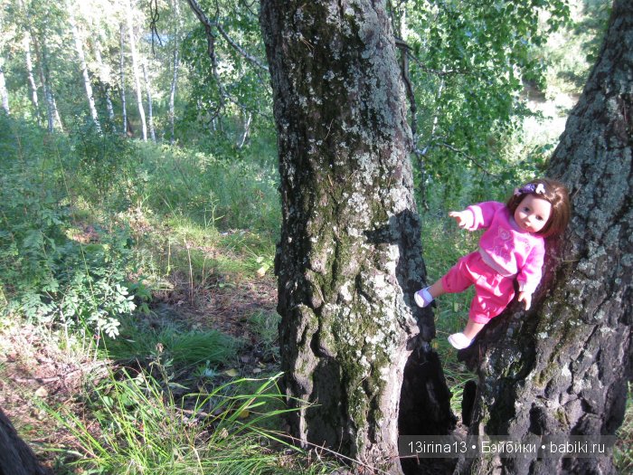 В тиши Сибирского августовского леса, 1 часть