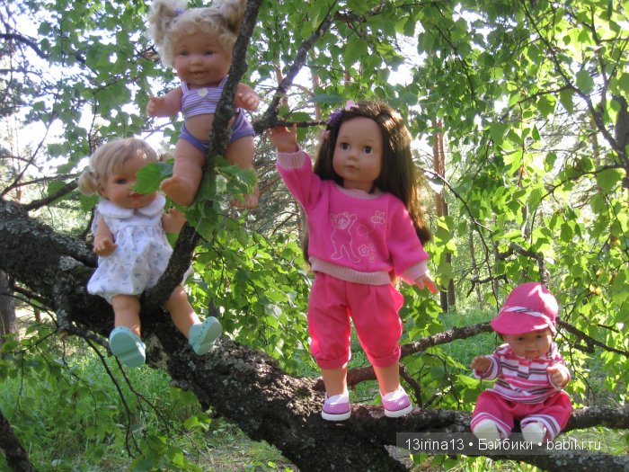 В тиши Сибирского августовского леса, 2 часть