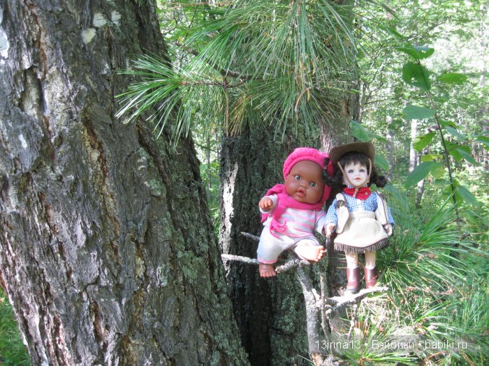 В тиши Сибирского августовского леса, 2 часть