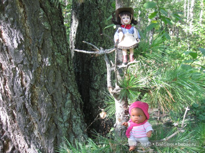 В тиши Сибирского августовского леса, 2 часть