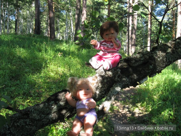 В тиши Сибирского августовского леса, 2 часть