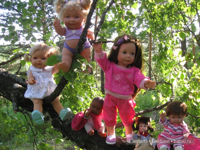 В тиши Сибирского августовского леса, 2 часть