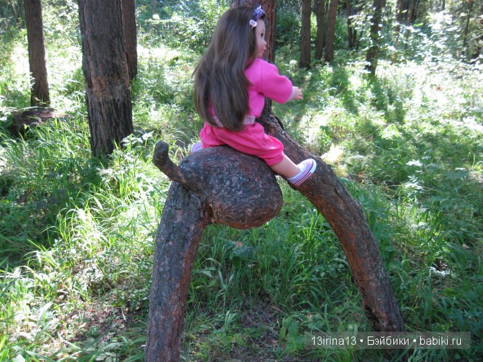 В тиши Сибирского августовского леса, 1 часть