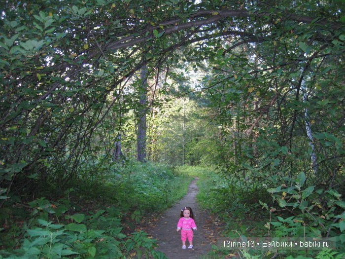 В тиши Сибирского августовского леса, 1 часть