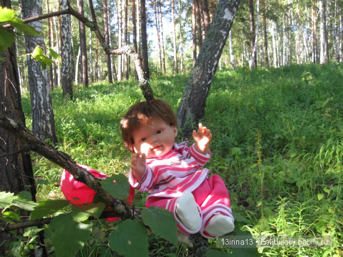 В тиши Сибирского августовского леса, 2 часть