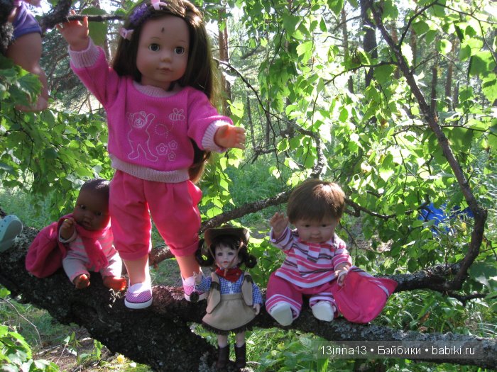 В тиши Сибирского августовского леса, 2 часть