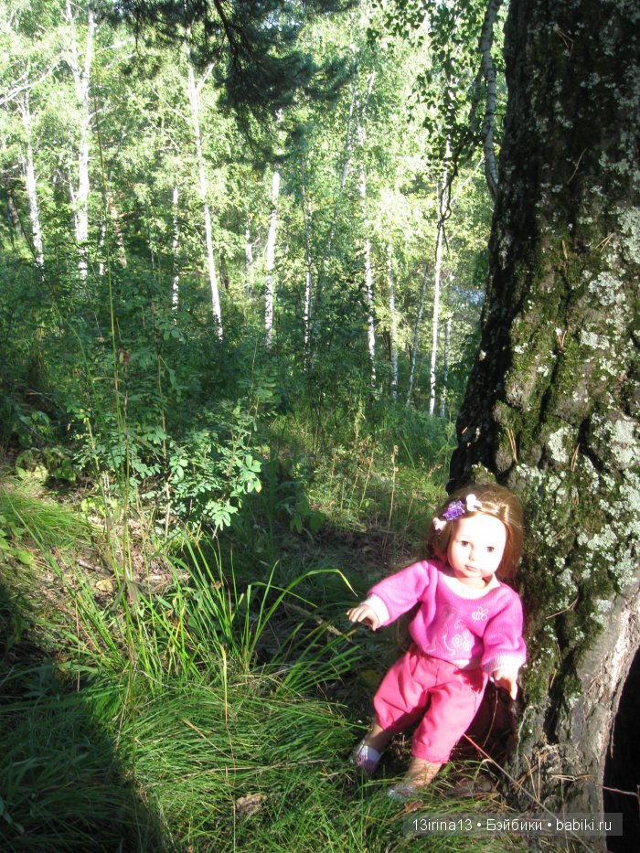 В тиши Сибирского августовского леса, 1 часть