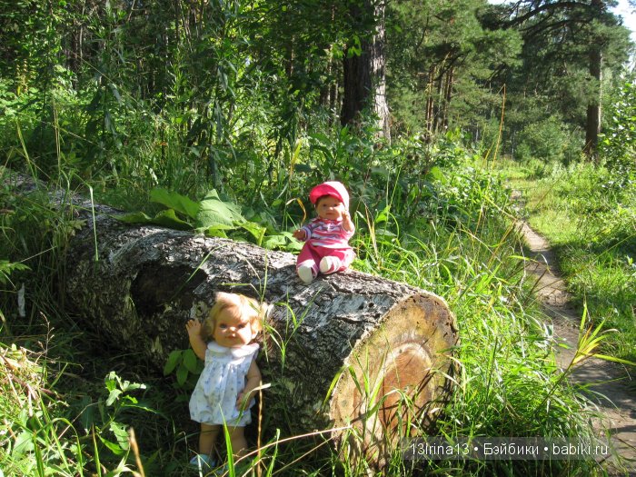 В тиши Сибирского августовского леса, 2 часть