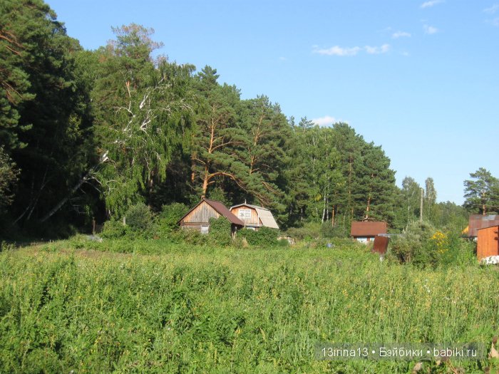 В тиши Сибирского августовского леса, 2 часть