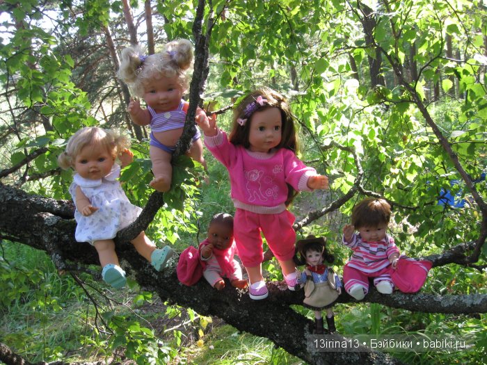 В тиши Сибирского августовского леса, 2 часть