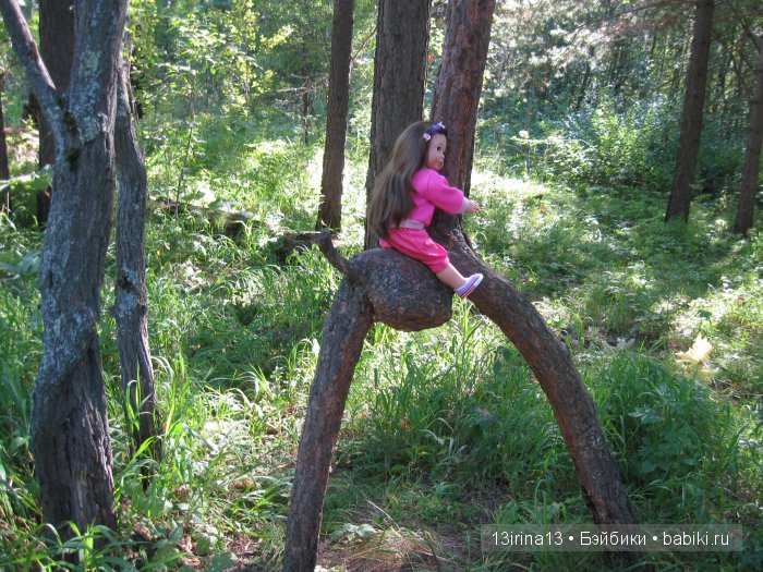 В тиши Сибирского августовского леса, 1 часть