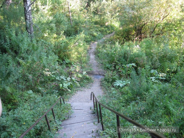 В тиши Сибирского августовского леса, 2 часть