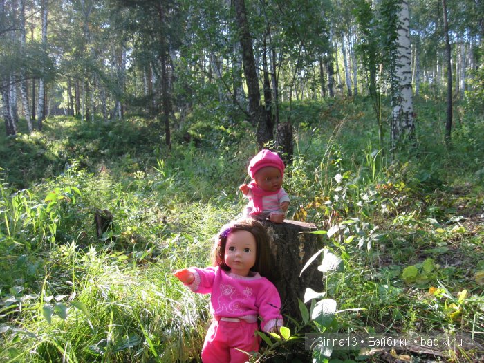 В тиши Сибирского августовского леса, 2 часть