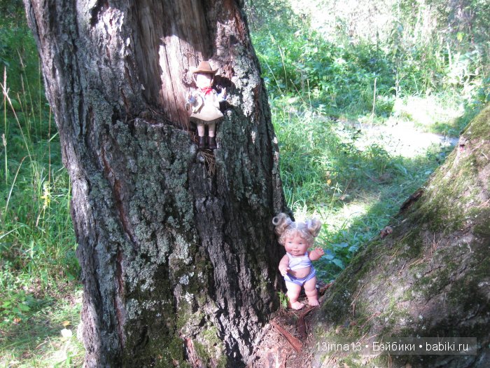В тиши Сибирского августовского леса, 2 часть