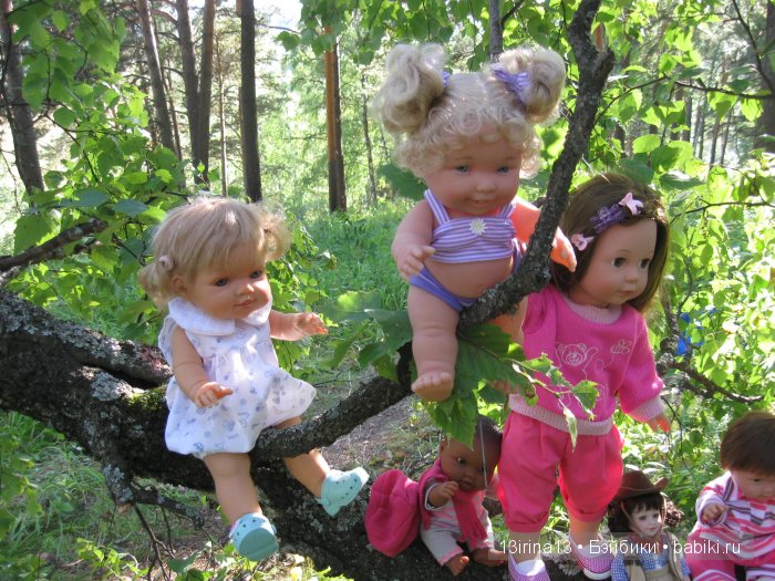 В тиши Сибирского августовского леса, 2 часть