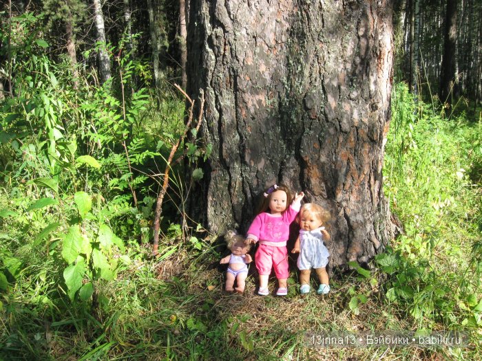 В тиши Сибирского августовского леса, 2 часть
