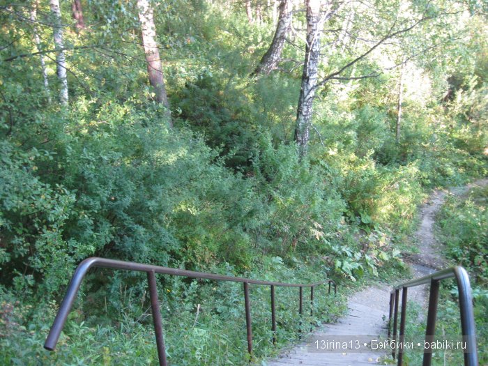 В тиши Сибирского августовского леса, 2 часть