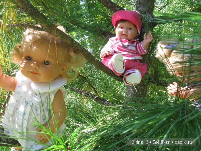 В тиши Сибирского августовского леса, 2 часть