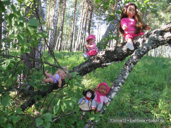 В тиши Сибирского августовского леса, 2 часть