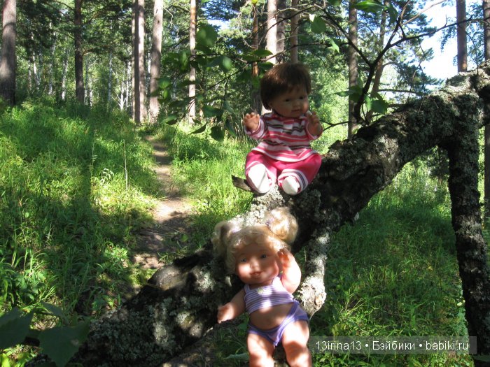 В тиши Сибирского августовского леса, 2 часть