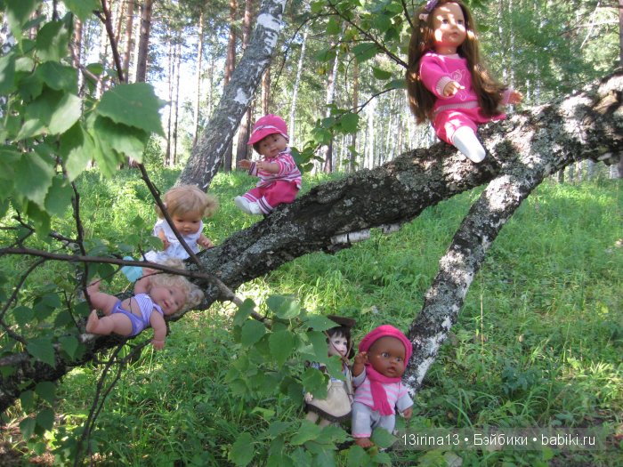 В тиши Сибирского августовского леса, 2 часть