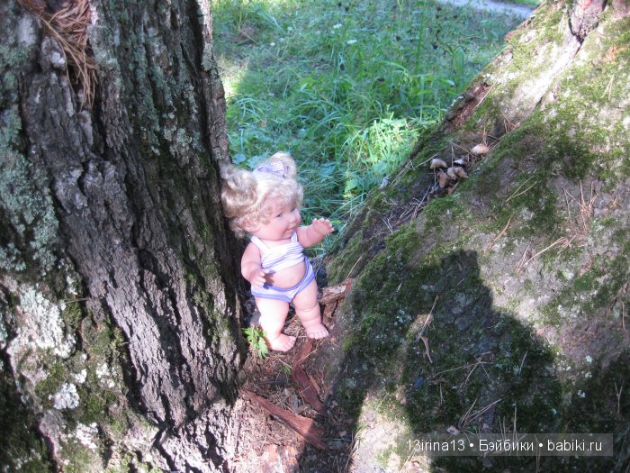 В тиши Сибирского августовского леса, 2 часть