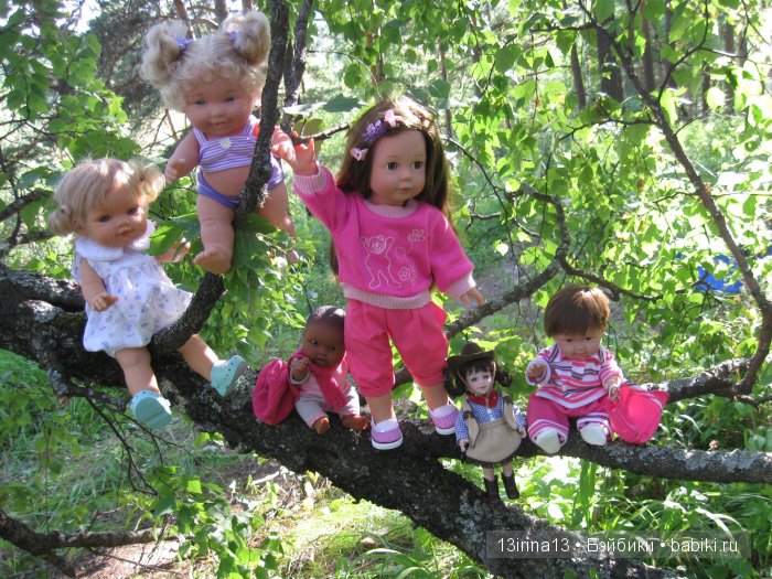 В тиши Сибирского августовского леса, 2 часть