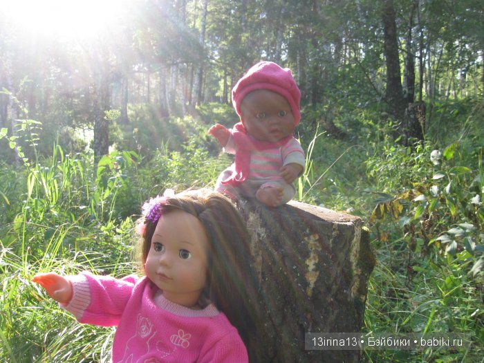 В тиши Сибирского августовского леса, 2 часть