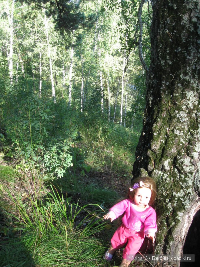 В тиши Сибирского августовского леса, 1 часть