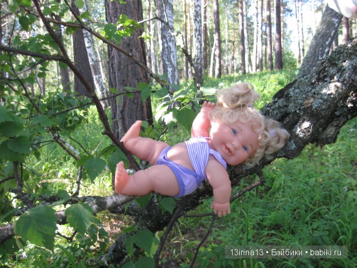 В тиши Сибирского августовского леса, 2 часть