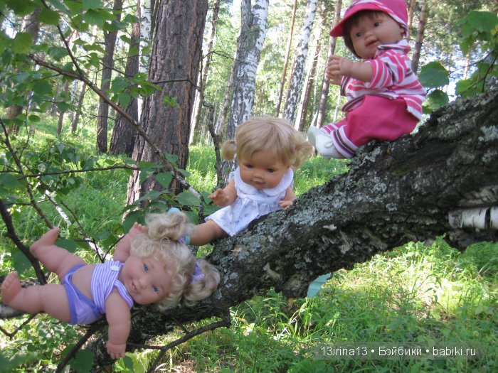 В тиши Сибирского августовского леса, 2 часть